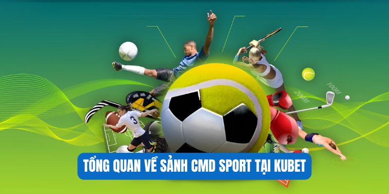 Tổng quan về sảnh CMD Sport