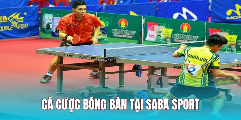 Bóng bàn là sản phẩm cược thú vị được yêu thích trong sảnh Saba